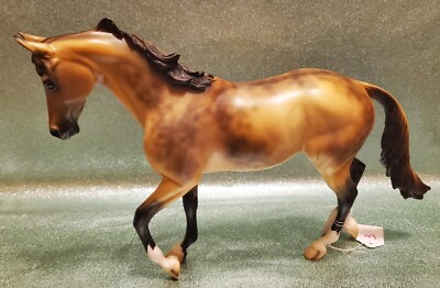 Peter Stone Thoroughbred, Easy Money 