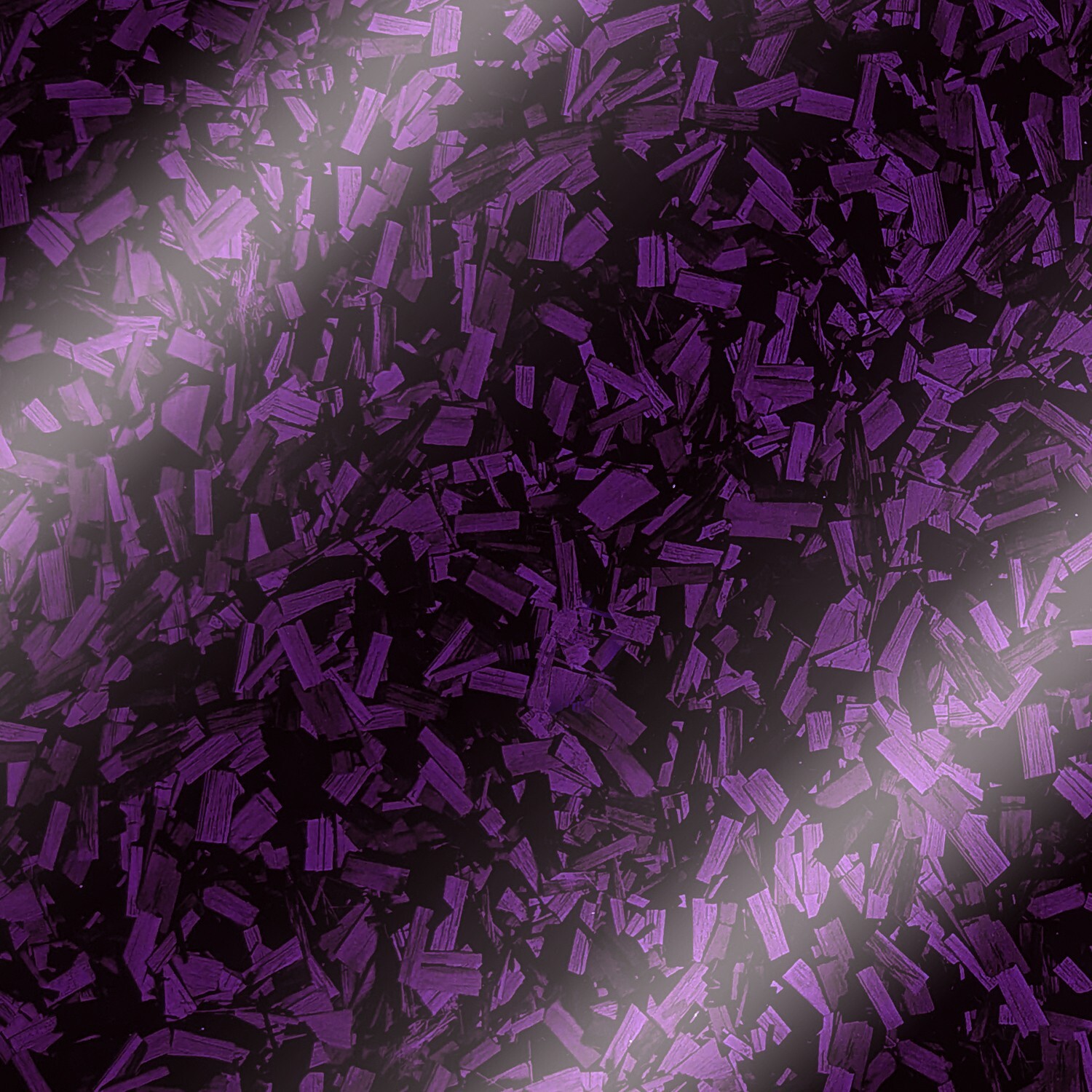 Bild 49 von 54
