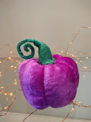 Kürbis rosa & grün Crushed Velvet Halloween Geschenk Herbst Herbst Deko