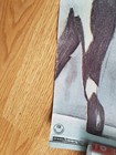 Bild 4 von 4