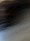 Bild 3 von 12