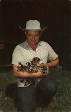 Cape Cod, Massachusetts MA Bassett Animal Farm Chrome Original Vintage Postcard