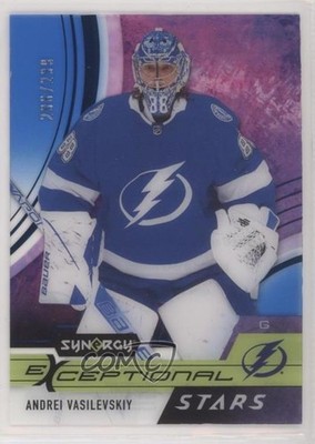 2021-22 Upper Deck Synergy Exceptional Stars Blue 206/299 Andrei Vasilevskiy b8c