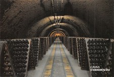Espagne CAVAS CODORNIU