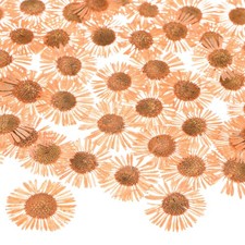 60-Pack Dried Pressed Flowers for Resin, Real Natural Dry Floral Orange 