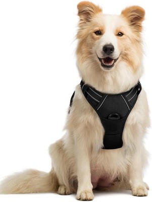 No-Pull Hundehalsband, weich, schwarz, für Mittelgroße Hunde, Puppe