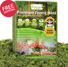 3.5oz Green Moss for Plants Indoor Crafts Artificial Moss Decorative Potted