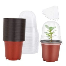  Plant Nursery Pots with Humidity Dome 4" Soft Transparent Plastic Red