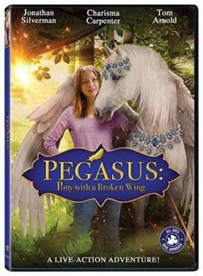Pony With A Broken Wing - DVD By Jonathan Silverman - VERY GOOD