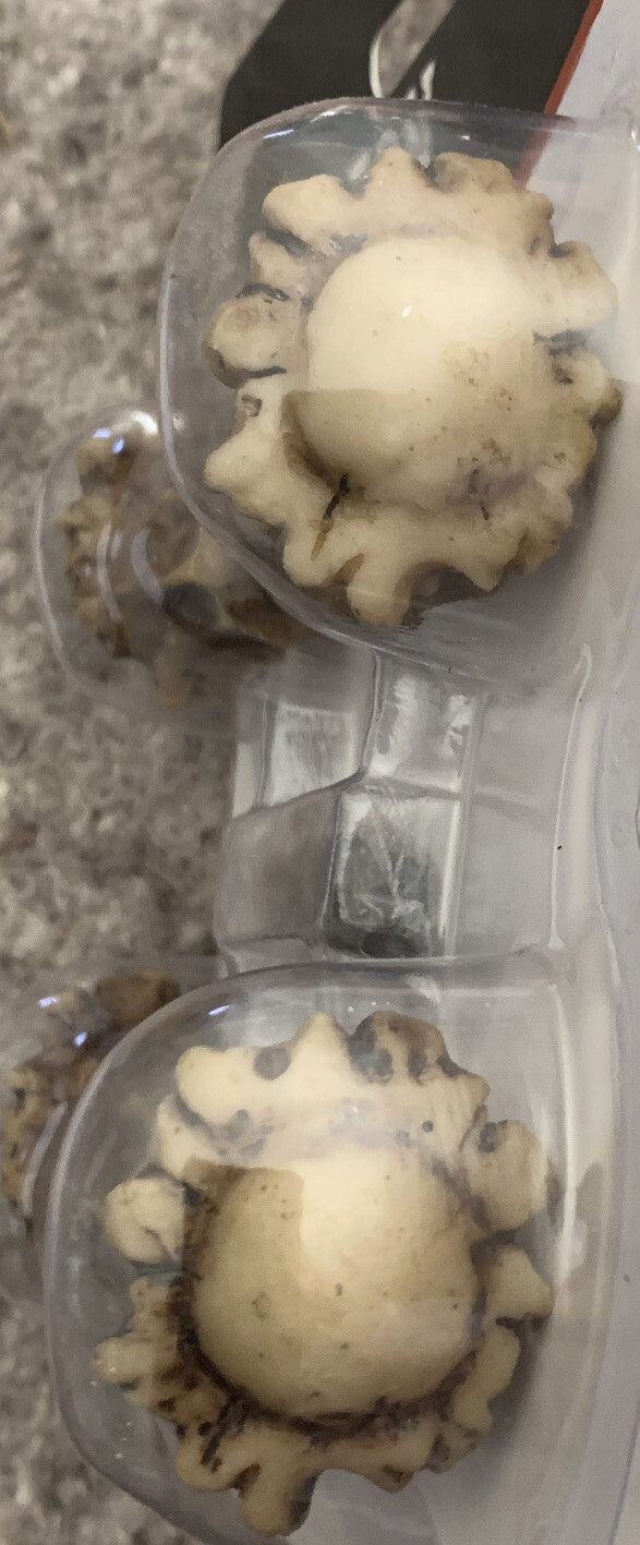 Rustic Antler Crown Knobs, Set of 4 De Leon Collections