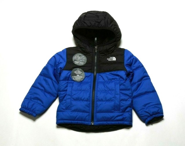 the north face chimborazo toddler