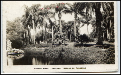 BUENOS AIRES Argentina Argentinien ~1930 Palermo Bosque de Palmeras Palmen AK