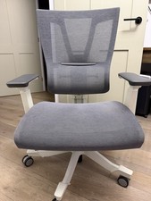 Ergonomic Office Chair