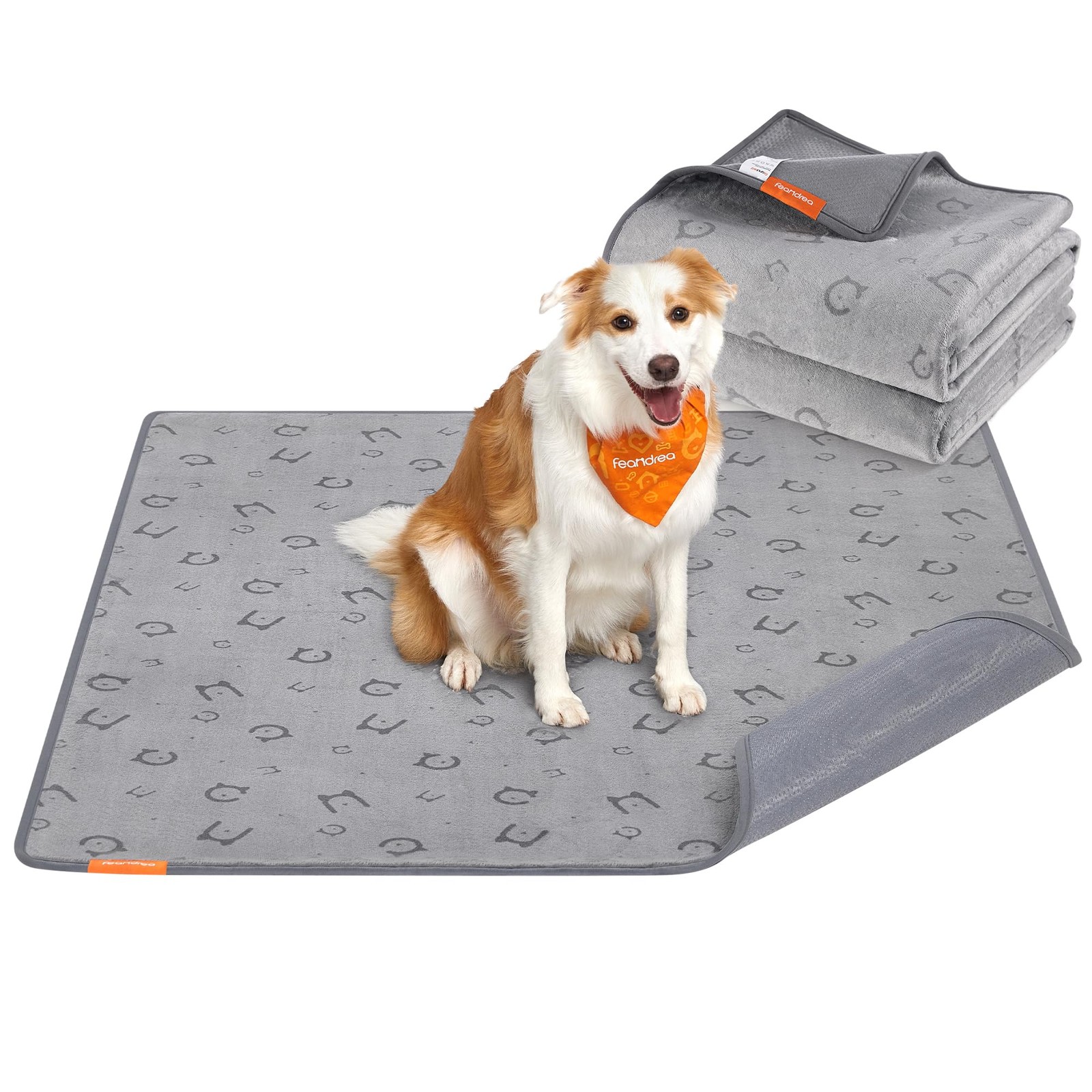 Feandrea Tappeti per Addestramento Cani Riutilizzabili 152x122cm 2 Pezzi