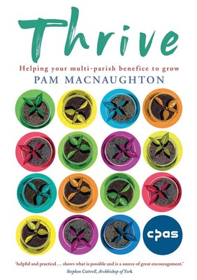 Thrive Helping your multi-parish benefice to grow Pam Macnaughton Taschenbuch