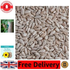 High-Energy Bakery Grade Sunflower Hearts 12.55kg – Clean Bird Feeding Solution 2.86 per kilo