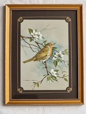 Vintage Basil Ede Robin framed print