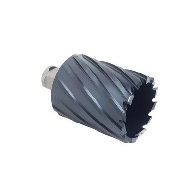 Walter 05B314 0.87 x 2 in. Icecut Annular Core Cutter - Weldon Shank