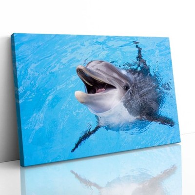 Delfin lächelnd niedlich Leinwand gerahmter Druck Bild Wandbild