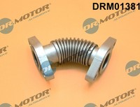 1X Dr.Motor Automotive DRM01381 Rohrleitung Agr-Ventil FüR Fiat Alfa Romeo Lanci