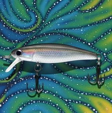 Dynamic Lures HD TROUT (Silver/Black) Fishing lure
