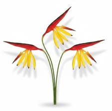 Corkwaw Bird of Paradise Stems Set of 3, Soft Touch Red Yellow Tropical Faux