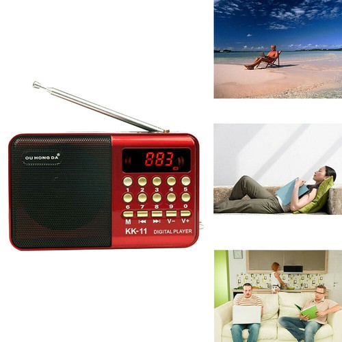 Digital Radio Tragbares FM Radio MP3 Lautsprecher Player mit Batterie USB Kabel - Bild 7 von 17