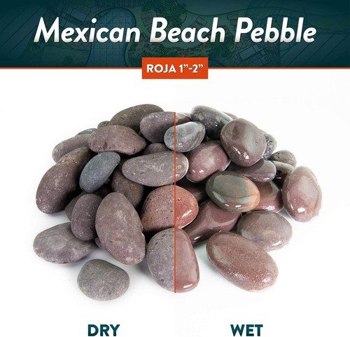 20 Lbs. Mexican Beach Pebbles Smooth Stones Hand Picked Landscape & Garden - 第 14/24 張圖片
