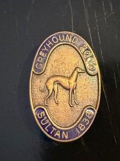 GREYHOUND 2000 ENAMEL PIN BADGE ( SULTAN 1838 )