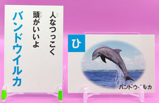 Delfino dal naso a bottiglia/Enciclopedia animale Karuta carta mare coppia ca...