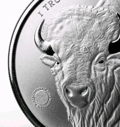 1 oz Silver Round Buffalo Girl .9999 Silver Bullion Round COIN IN CAPSULE BU