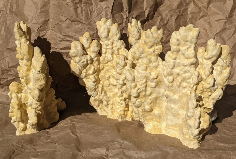 2~Pecera Coral Artificial Nuevo Foto 2 de 4