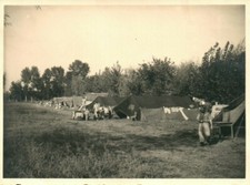 Foto, seconda guerra mondiale. Luftwaffe Genova/ITA 1943: soldati nel campo t...