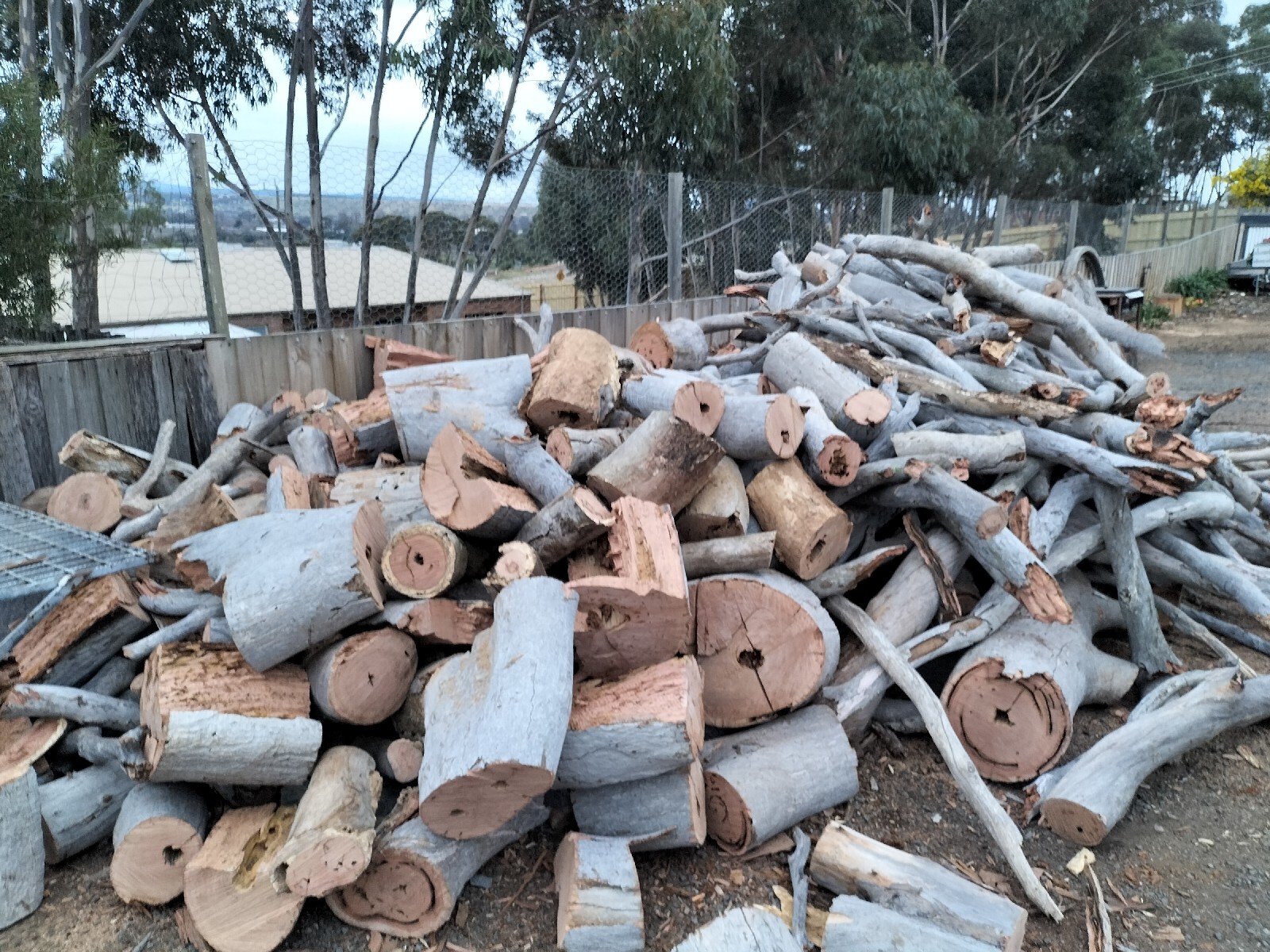 Yellow Box firewood eBay