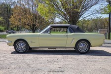 1965 Ford Mustang for Sale