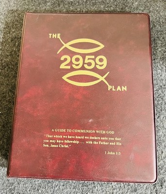 Peter Lord THE 2959 PLAN (29 Minutes and 59 Seconds a Day) Ring-bound