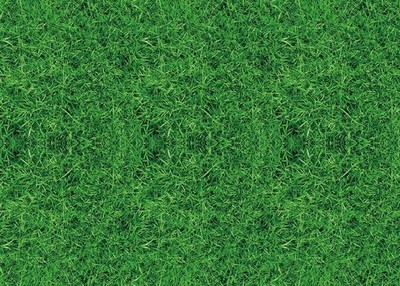 Nature Green Grass Photography Backdrops Spring Realistic Grass Lawn Photography