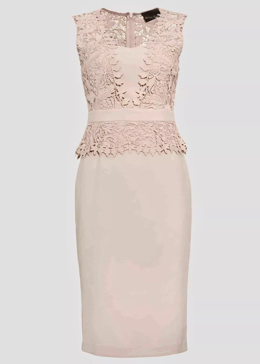 Phase Eight Harmony Lace Dress in Cameo BNWT 140 Size 10 Occasions Smart