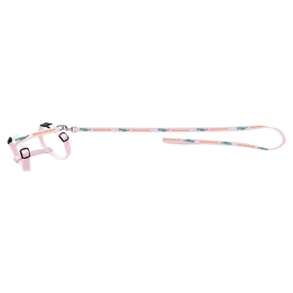 D&D Katzengarnitur Catwalk Geschirr rosa 18-28 cm für Katzen mit Leine