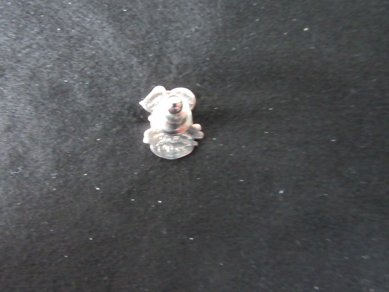 Picture 4 of 6