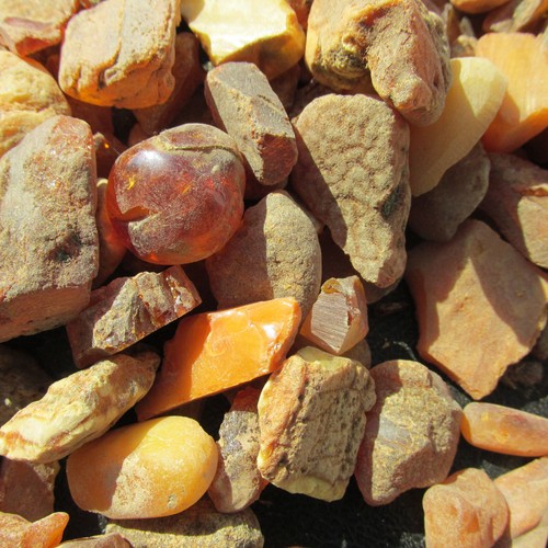 Natural Baltic Amber Stones 690g. - Picture 8 of 8