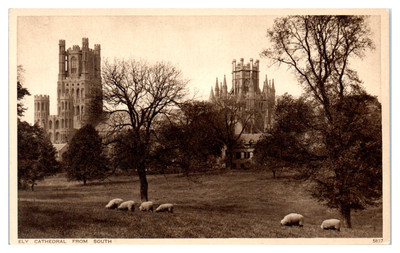 Postcard: ELY CATHEDRAL FROM SOUTH 5837