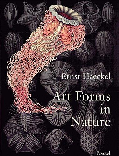 Art Forms in Nature: Prints of Ernst Haeckel - Olaf Breidbach