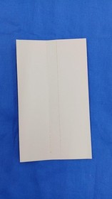 Sega Saturn Courier Crisis BMG Software Used