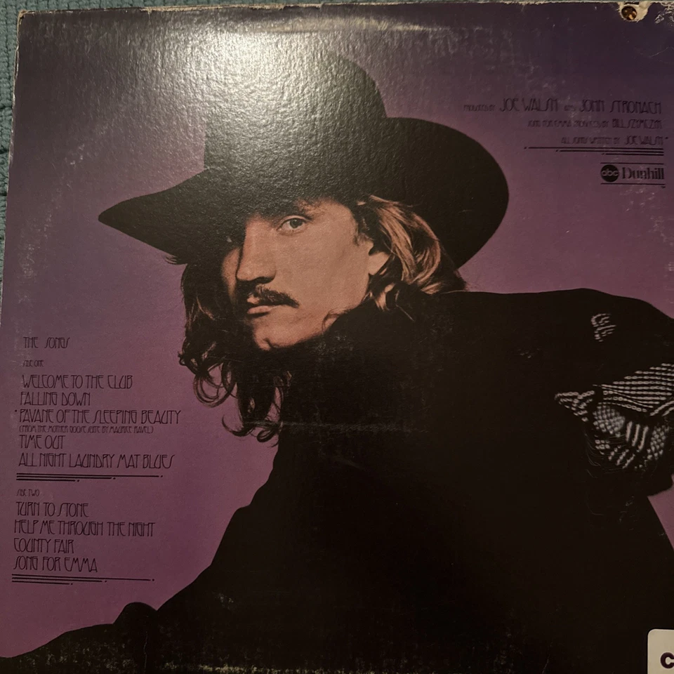 Joe Walsh So What 1974 LP ABC Dunhill DSD-50171 1st Press Turn To Stone Welcome Foto 2 de 2