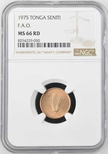 1975 Tonga 1 Seniti  KM-42 FAO Issue - NGC MS 66 RD
