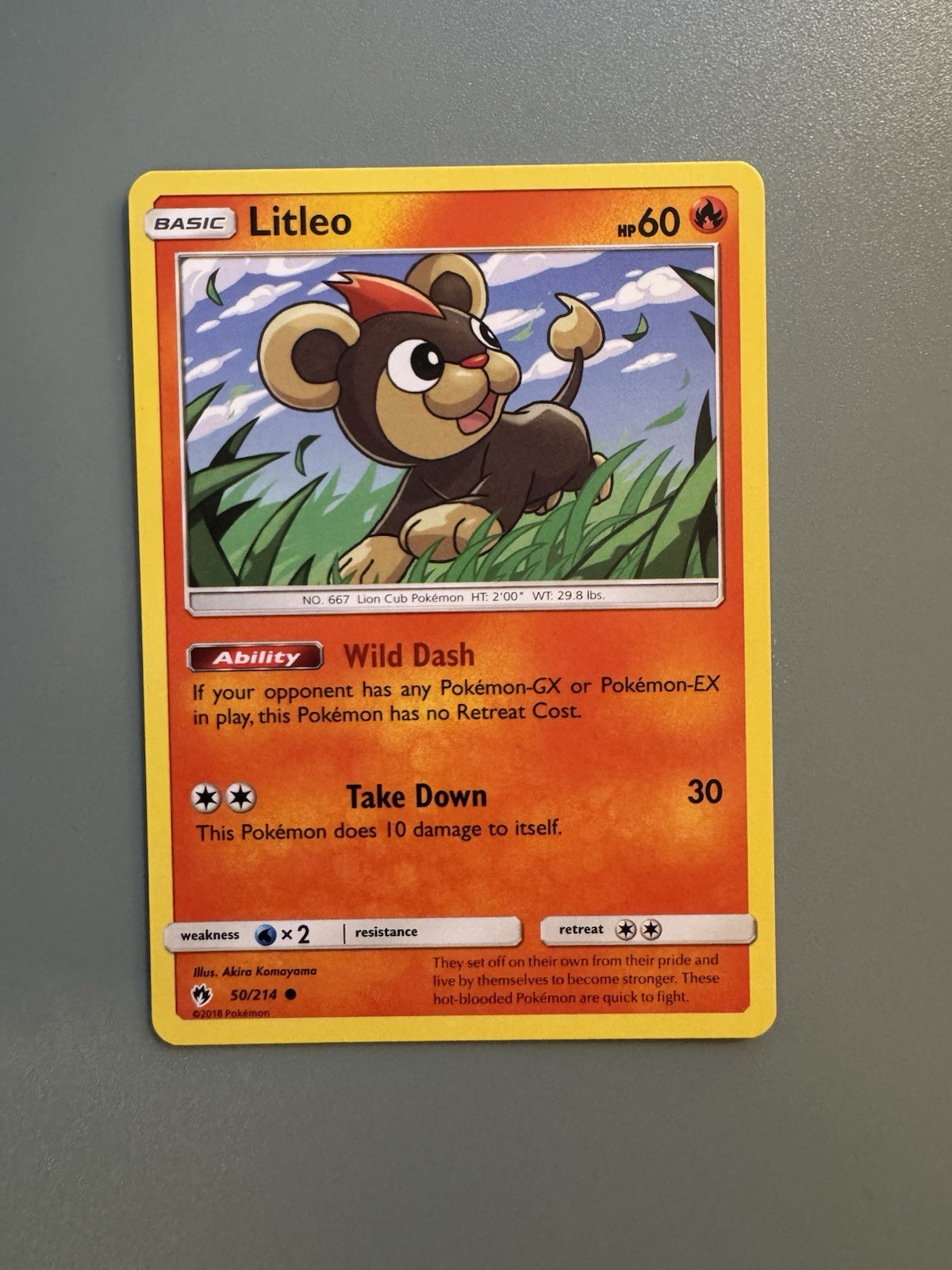 Litleo 50/214 Lost Thunder Common Pokemon Near Mint
