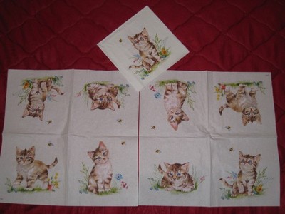 3 Servietten ~ Tiere, Kätzchen Kira spielt mit einer Biene ~33x33