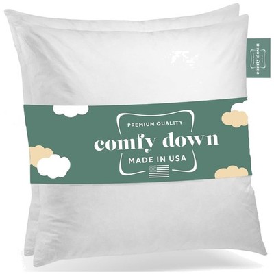 22x22 Throw Pillow Inserts Set of 2 - Down & Feather