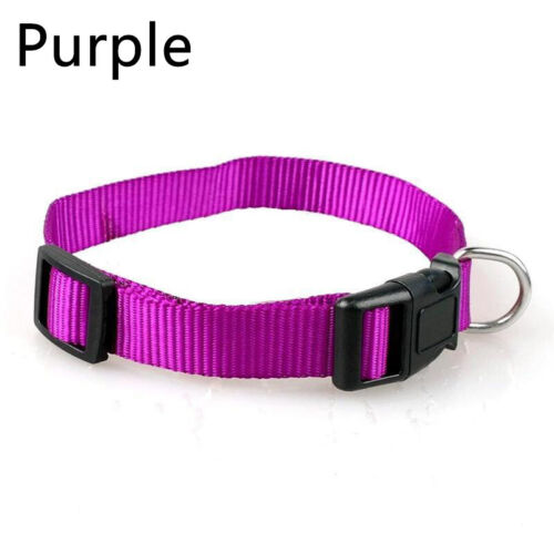 Pets Dog Puppy Cat Kitten Choke Collar Buckle Solid Color Adjustable Necklace - Picture 14 of 16